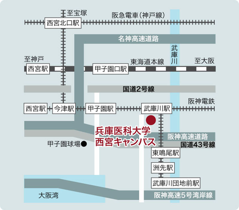 兵庫医科大学 MAP