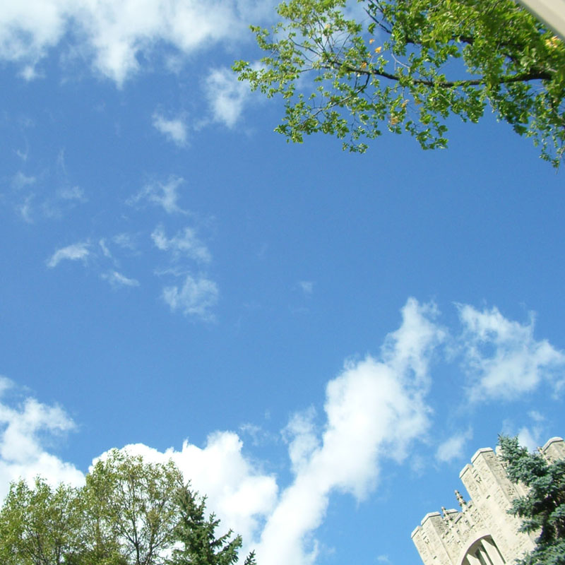 東北医科薬科大学