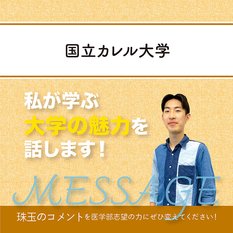 【チェコ国立カレル大学】私が学ぶ大学の魅力を話します！